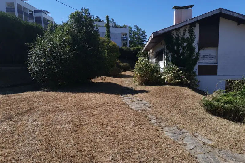Terrain débroussaillé en bord de parcelle